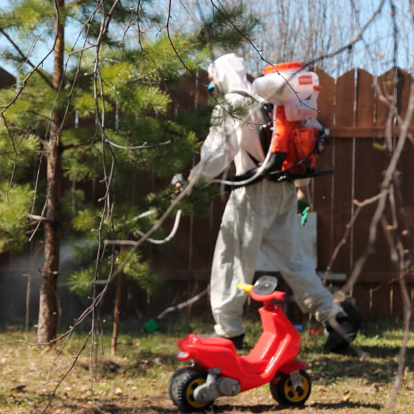 Обработка участка от клещей в Зеленограде?